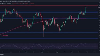 Análisis del Precio de Bitcoin: ¿Tiene BTC la Fuerza para Alcanzar un Máximo Histórico esta Semana? ¡Descúbrelo! - Cripto Boom