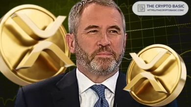 7d02d6eeb5499f88e678 El CEO de Ripple afirma que XRP será uno de los ganadores en el mundo cripto: ¡Descubre por qué!