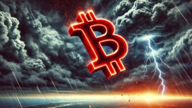 ¿Es posible un desplome del precio de Bitcoin hoy? Descubre qué esperar - Cripto Boom