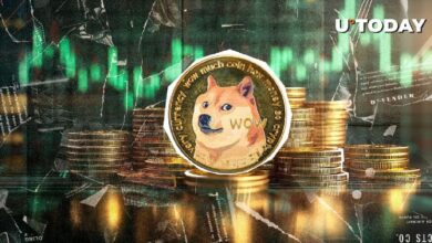 7e4333dccb846c9aa9d7 ¡Descubre cómo Dogecoin se dispara un 1,856% en flujos netos impulsado por movimientos masivos de ballenas!