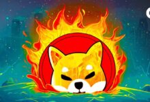 7e4fa360f21926b30855 Precio de Shiba Inu: ¡Descubre cómo 142 billones de tokens sin quemar ponen en riesgo el soporte!