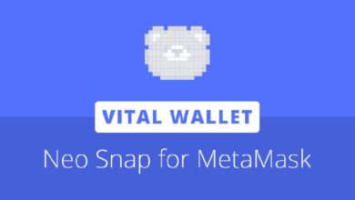 800799fa7f482d695f6a ¡Descubre Vital Wallet: Integra Neo N3 en Ethereum con MetaMask Snaps!