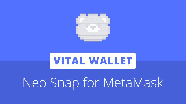 800799fa7f482d695f6a ¡Descubre Vital Wallet: Integra Neo N3 en Ethereum con MetaMask Snaps!