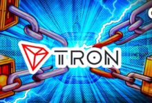 833b6eea5b32f6cf39d7 La Energía de la Red Tron se Duplica, Potencia la Capacidad para Monedas Meme: Descubre Más