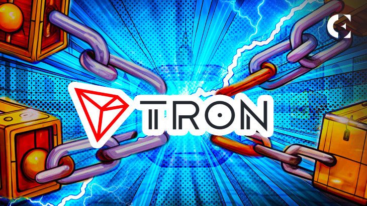 833b6eea5b32f6cf39d7 La Energía de la Red Tron se Duplica, Potencia la Capacidad para Monedas Meme: Descubre Más