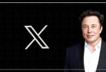 Elon Musk y Bitcoin: ¡Descubre el Impacto en Redes Sociales y el Aumento del 1,000%! - Cripto Boom