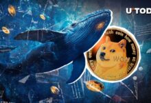 837b881538c4a86fd9ea Ballenas de Dogecoin Compran un 899% Más DOGE con el Aumento del Precio de Moneda Meme: ¡Descubre por Qué!