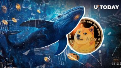 837b881538c4a86fd9ea Ballenas de Dogecoin Compran un 899% Más DOGE con el Aumento del Precio de Moneda Meme: ¡Descubre por Qué!