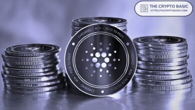 El Bull de Cardano Gambardello Acepta que DOG en Bitcoin Superará a ADA Esta Temporada - Descubre Más - Cripto Boom