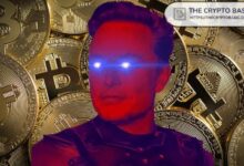 86f7e80c784a96e08ac9 ¡El Bitcoin se ha disparado más del 1.000% desde el primer tweet de Elon Musk sobre BTC! Descubre cómo esto impacta en el mercado.