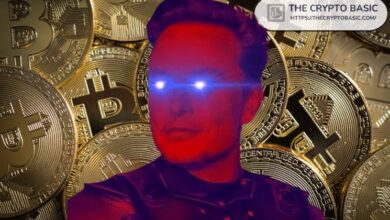 ¡El Bitcoin se ha disparado más del 1.000% desde el primer tweet de Elon Musk sobre BTC! Descubre cómo esto impacta en el mercado. - Cripto Boom