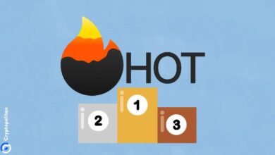 88b9b77d00bbb19e088e ¡Descubre cómo Hot Protocol se convierte en la aplicación multi-cadena líder, superando a Particle Network y Uniswap!