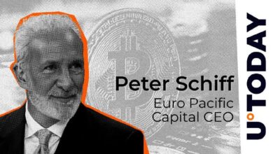 Schiff Etiqueta el Máximo de Precio de Bitcoin en 6 Meses con una Sola Palabra: Descúbrelo Aquí - Cripto Boom