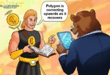 Polygon Supera los $0.30: ¡Descubre su Ascenso en el Rango! - Cripto Boom