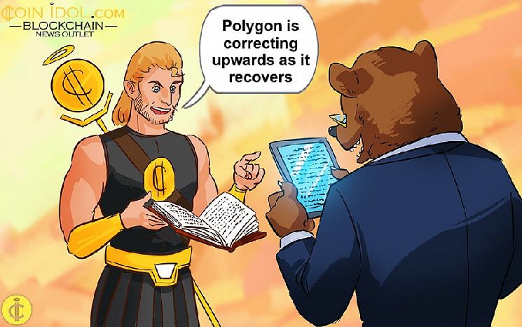 Polygon Supera los $0.30: ¡Descubre su Ascenso en el Rango! - Cripto Boom