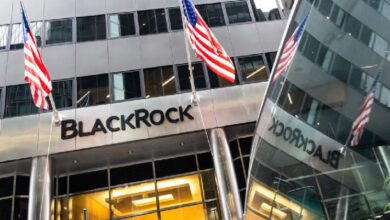 El CEO de Blackrock Tiene Razón: Trump y Kamala No Pueden Frenar el Bitcoin – Descubre Por Qué - Cripto Boom