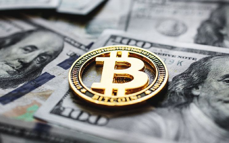 8f61d0db6e6469f58cf1 Invertir Solo $1,000 en Bitcoin Hace 14 Años Habría Generado una Fortuna Enorme: ¡Descubre cómo podrías haberlo logrado!