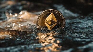 90c63938864efb179fb7 Los ETF de Ethereum enfrentan un inicio complicado, pero mantienen un fuerte potencial de crecimiento, afirma el CEO de Bitwise. ¡Descubre más!