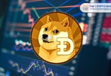 ¿Listo Dogecoin para un Rally del 25%? Analista Experto Detecta Ruptura de Bandera - Cripto Boom