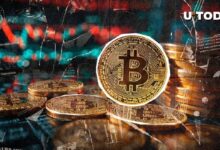 9303e5342444b735a574 "Ciclo Anual de Bitcoin (BTC) al Borde de Romperse: ¡Descubre los Detalles!"