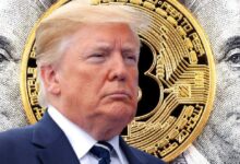 93820efe5df632bc5432 Partidarios de Donald Trump Supuestamente Interfirieron con Plataforma de Predicciones de Criptomonedas: ¡Descubre los Detalles!