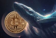 ¡Descubre por qué una ballena de Bitcoin del 2009 sigue vendiendo sin parar! - Cripto Boom