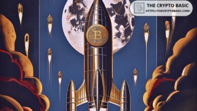 "Bitcoin Recupera $73K: Analista Predice un Potencial de $462K Basado en Niveles Históricos de Fibonacci ¡Descubre Más!" - Cripto Boom