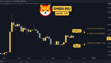 947258e5c371edf6ad39 Predicción del Precio de Shiba Inu (SHIB) para Esta Semana: ¿Hora de Invertir?