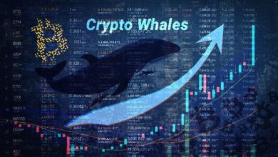 Ballenas compran Notcoin (NOT) mientras el mercado de altcoins apunta a un crecimiento del 400% ¡Descubre por qué! - Cripto Boom