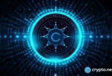 Los titulares de Cardano entran en pánico: ¿Se desatará la presión de venta? ¡Descúbrelo! - Cripto Boom