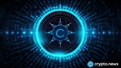 Los titulares de Cardano entran en pánico: ¿Se desatará la presión de venta? ¡Descúbrelo! - Cripto Boom