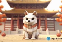 Shiba Inu se prepara para un gran rally con el aumento de cuentas en Shibarium: ¡Descubre más! - Cripto Boom