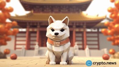 Shiba Inu se prepara para un gran rally con el aumento de cuentas en Shibarium: ¡Descubre más! - Cripto Boom