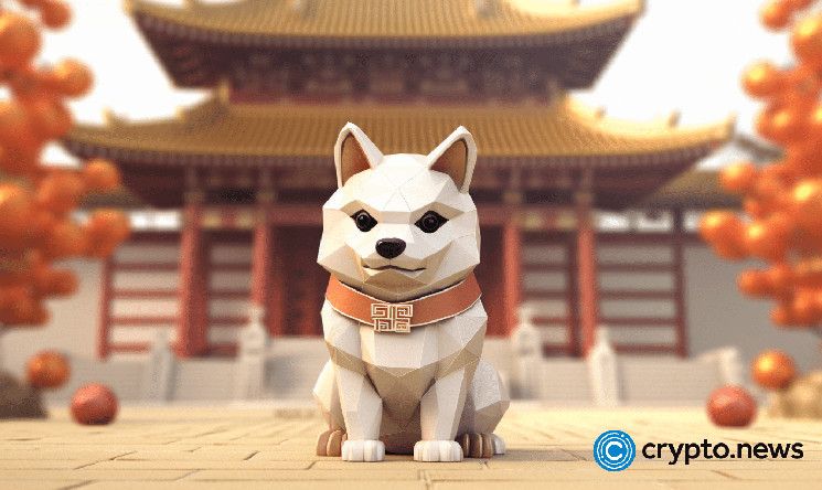 Shiba Inu se prepara para un gran rally con el aumento de cuentas en Shibarium: ¡Descubre más! - Cripto Boom