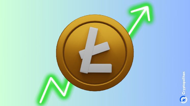 9677b46b67c3f769cbd4 Litecoin avanza hacia el top 10 con un aumento de volumen de $36 mil millones: Descubre más