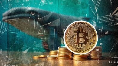 $222 Millones en Bitcoin (BTC) Cambian de Manos Mientras el Precio se Acerca a $67,000 ¡Descubre los Detalles! - Cripto Boom