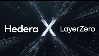 9b362f70c9d6d77e6d3b Hedera Integra LayerZero con el Lanzamiento de Mainnet v0.54: Descubre las Novedades