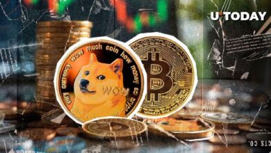 Cofundador de Dogecoin Envía Mensaje Épico a Bitcoin: ¡Descubre Más! - Cripto Boom