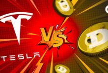 9de162315a239d88ccf6 Tesla vs. DeLorean: ¿Quién Ganará la Carrera de Memecoins, SHIB o DOGE? ¡Descúbrelo!