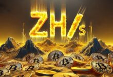 La Carrera hacia la Era Zettahash: El Hashrate de Bitcoin Rompe Nuevos Récords ¡Descubre Más! - Cripto Boom