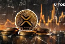 9ea3b72f5184341849db ¡XRP Explota un 130% en Volumen mientras el Precio de XRP Enfrenta una Prueba Crucial!