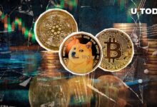 Las ballenas de BTC, DOGE y ADA podrían impulsar el repunte de precios, descubre por qué - Cripto Boom