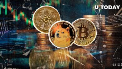 9edf7d3bb4a2af3d0347 Las ballenas de BTC, DOGE y ADA podrían impulsar el repunte de precios, descubre por qué