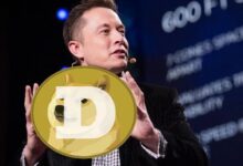 ¡Nuevo mensaje de Elon Musk sobre Dogecoin (DOGE)! Descubre más aquí - Cripto Boom