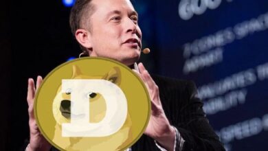 ¡Nuevo mensaje de Elon Musk sobre Dogecoin (DOGE)! Descubre más aquí - Cripto Boom