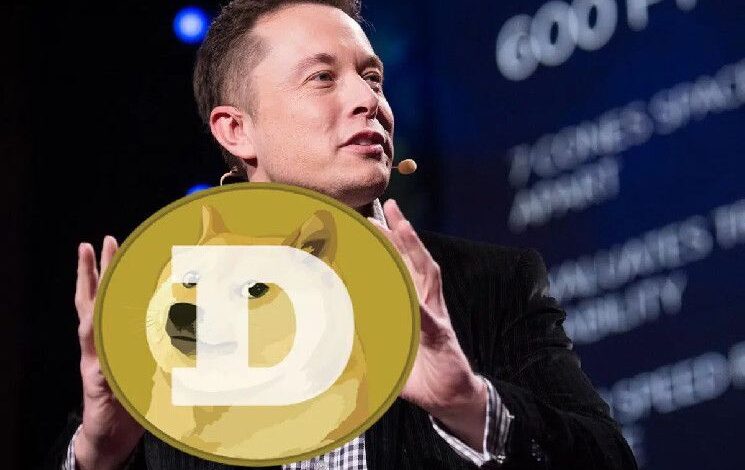 ¡Nuevo mensaje de Elon Musk sobre Dogecoin (DOGE)! Descubre más aquí - Cripto Boom