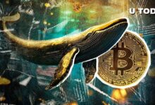 a06d3ccff0b9f98a5193 Ballena de la Era Satoshi de 2009 Vende Casi $10 Millones en Bitcoin: Descubre los Detalles