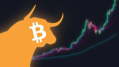 ¿Por qué Aumentó el Precio de Bitcoin? Analista Revela Predicción de Precio de BTC para el Primer Trimestre de 2025: ¡Descúbrelo Aquí! - Cripto Boom