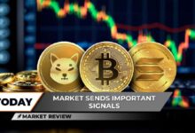 ¡Bitcoin (BTC) Revela Cruz Oculta! ¿Explosión de Volatilidad en Shiba Inu (SHIB)? ¡Solana (SOL) Anhela Superar los $200! - Cripto Boom