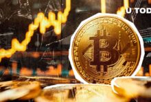 12 Años Después: ¡Primeros Inversores en Bitcoin (BTC) Descubren un Tesoro! - Cripto Boom